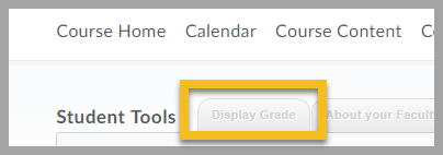 student tools_display grade button_image.png